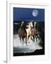 Dream Horses 080-Bob Langrish-Framed Photographic Print