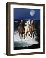 Dream Horses 080-Bob Langrish-Framed Photographic Print