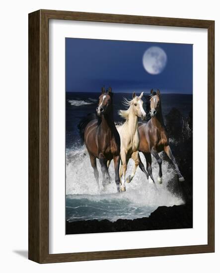 Dream Horses 080-Bob Langrish-Framed Photographic Print