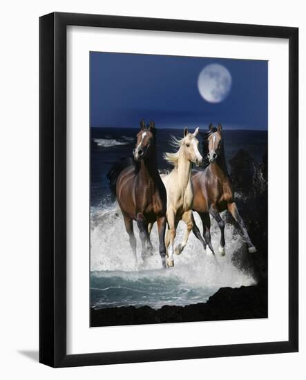 Dream Horses 080-Bob Langrish-Framed Photographic Print