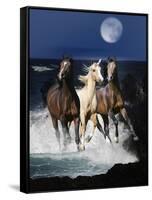 Dream Horses 080-Bob Langrish-Framed Stretched Canvas