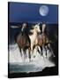 Dream Horses 080-Bob Langrish-Stretched Canvas