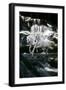 Dream Horses 082-Bob Langrish-Framed Photographic Print