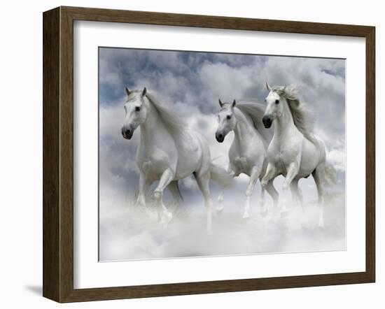 Dream Horses 087-Bob Langrish-Framed Photographic Print