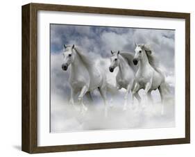 Dream Horses 087-Bob Langrish-Framed Photographic Print