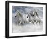 Dream Horses 087-Bob Langrish-Framed Photographic Print