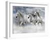 Dream Horses 087-Bob Langrish-Framed Photographic Print