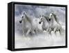 Dream Horses 087-Bob Langrish-Framed Stretched Canvas