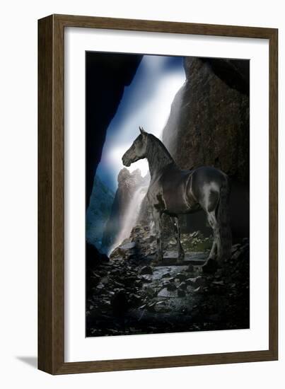 Dream Horses 089-Bob Langrish-Framed Photographic Print