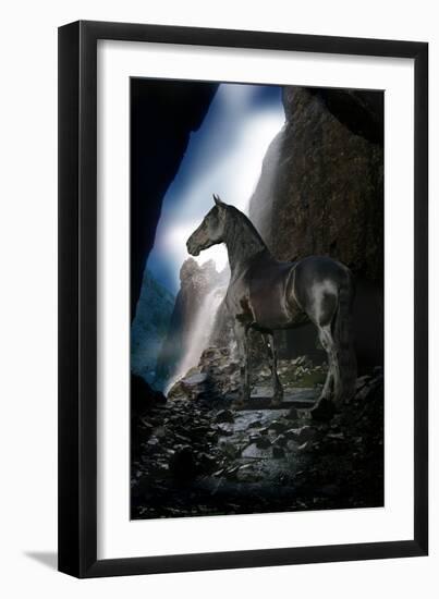 Dream Horses 089-Bob Langrish-Framed Photographic Print