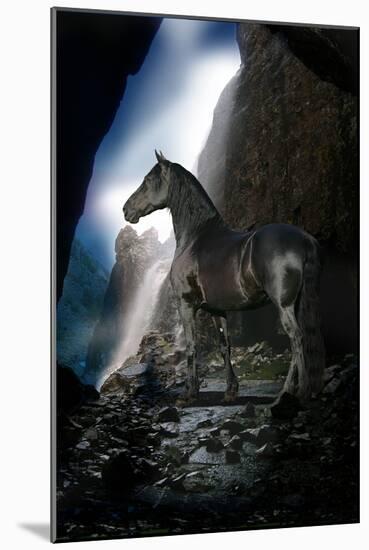 Dream Horses 089-Bob Langrish-Mounted Photographic Print