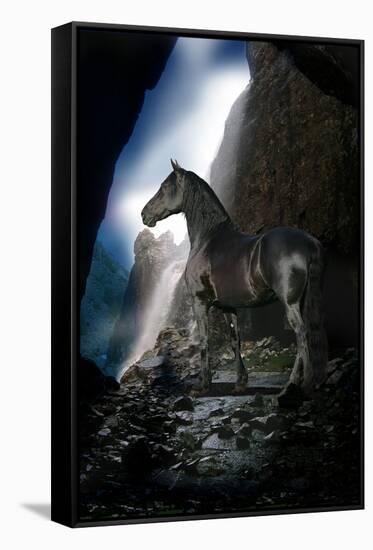 Dream Horses 089-Bob Langrish-Framed Stretched Canvas