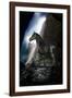 Dream Horses 089-Bob Langrish-Framed Photographic Print