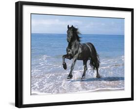 Dream Horses 095-Bob Langrish-Framed Photographic Print