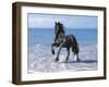 Dream Horses 095-Bob Langrish-Framed Photographic Print