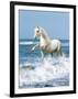Dream Horses 097-Bob Langrish-Framed Premium Photographic Print