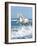 Dream Horses 097-Bob Langrish-Framed Photographic Print