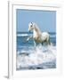 Dream Horses 097-Bob Langrish-Framed Photographic Print