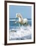 Dream Horses 097-Bob Langrish-Framed Photographic Print