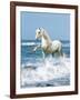 Dream Horses 097-Bob Langrish-Framed Photographic Print