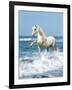 Dream Horses 097-Bob Langrish-Framed Photographic Print