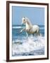Dream Horses 097-Bob Langrish-Framed Photographic Print