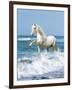 Dream Horses 097-Bob Langrish-Framed Photographic Print