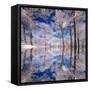Dream in Blue-Philippe Sainte-Laudy-Framed Stretched Canvas
