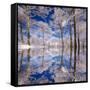 Dream in Blue-Philippe Sainte-Laudy-Framed Stretched Canvas