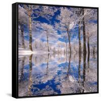 Dream in Blue-Philippe Sainte-Laudy-Framed Stretched Canvas