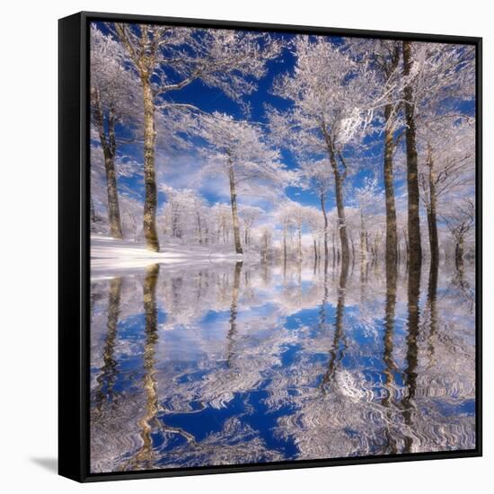 Dream in Blue-Philippe Sainte-Laudy-Framed Stretched Canvas