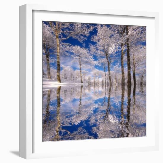 Dream in Blue-Philippe Sainte-Laudy-Framed Photographic Print