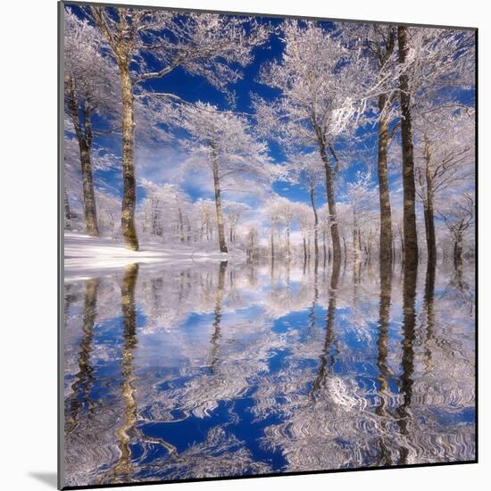 Dream in Blue-Philippe Sainte-Laudy-Mounted Photographic Print