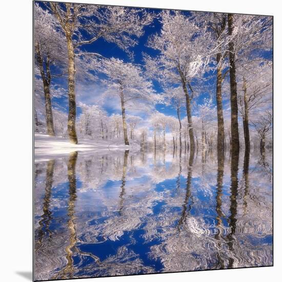 Dream in Blue-Philippe Sainte-Laudy-Mounted Photographic Print