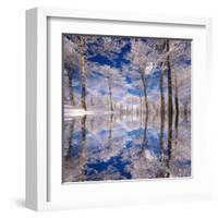 Dream in Blue-Philippe Sainte-Laudy-Framed Premium Photographic Print