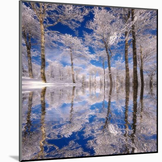 Dream in Blue-Philippe Sainte-Laudy-Mounted Premium Photographic Print