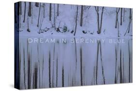 Dream in Serenity Blue-Art Licensing Studio-Stretched Canvas