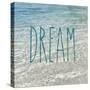 Dream in the Ocean-Sarah Gardner-Stretched Canvas