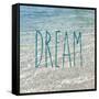 Dream in the Ocean-Sarah Gardner-Framed Stretched Canvas