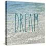 Dream in the Ocean-Sarah Gardner-Stretched Canvas