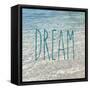 Dream in the Ocean-Sarah Gardner-Framed Stretched Canvas