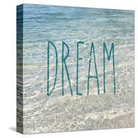 Dream in the Ocean-Sarah Gardner-Stretched Canvas