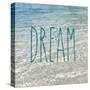 Dream in the Ocean-Sarah Gardner-Stretched Canvas