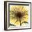 Dream in Yellow-Albert Koetsier-Framed Art Print