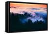 Dream Landscape of Fog at Sunset, San Francisco, California-Vincent James-Framed Stretched Canvas