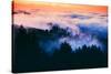 Dream Landscape of Fog at Sunset, San Francisco, California-Vincent James-Stretched Canvas