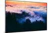 Dream Landscape of Fog at Sunset, San Francisco, California-Vincent James-Mounted Photographic Print