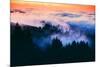 Dream Landscape of Fog at Sunset, San Francisco, California-Vincent James-Mounted Photographic Print