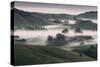 Dream Landscape, Tuscany in California, Petaluma Sonoma County-Vincent James-Stretched Canvas