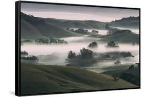 Dream Landscape, Tuscany in California, Petaluma Sonoma County-Vincent James-Framed Stretched Canvas
